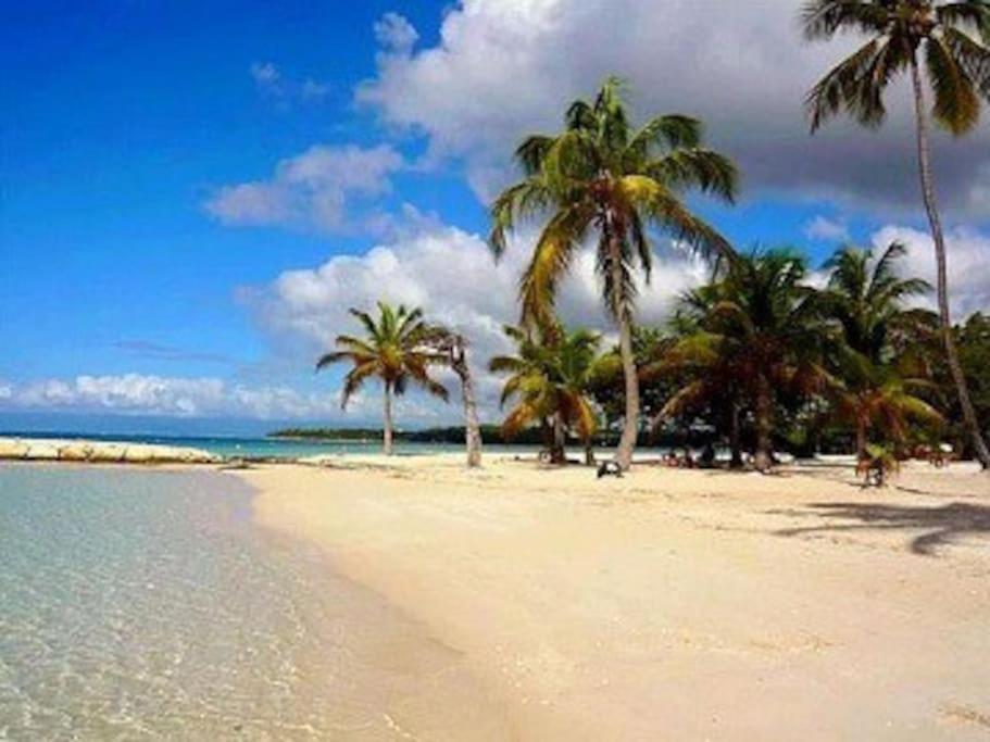 La Playa - L'Appartement Cozy - 2 A 5 Personnes Sainte-Anne  Exteriör bild